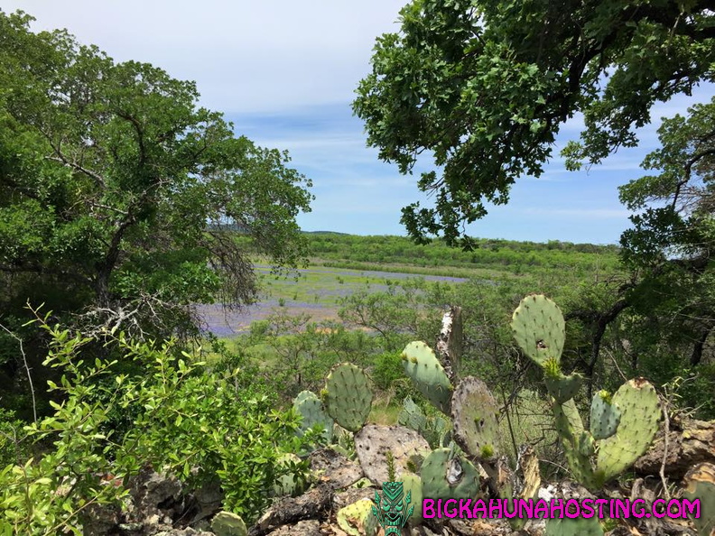 13795 10203964315083966 8238028128632924004 n