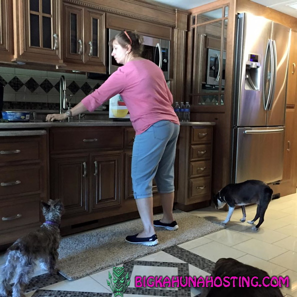 11113915 10203951742689664 7440289822932152426 n