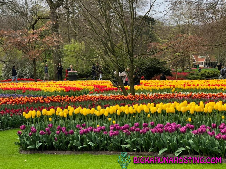 57052940 134196610978448 7675209065936453632 n