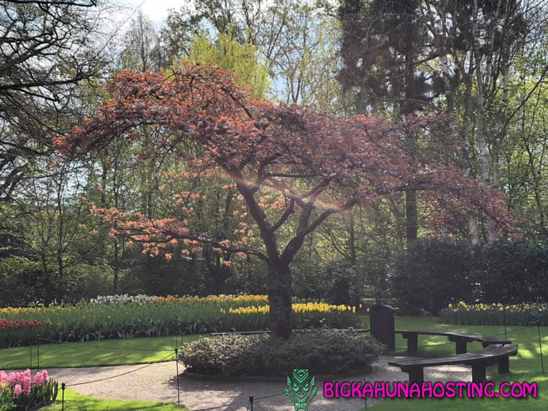 57111757 134194250978684 7603430911060738048 n