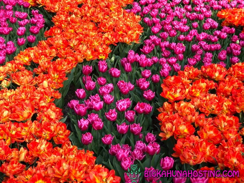 57154376 134194457645330 6133694549773516800 n