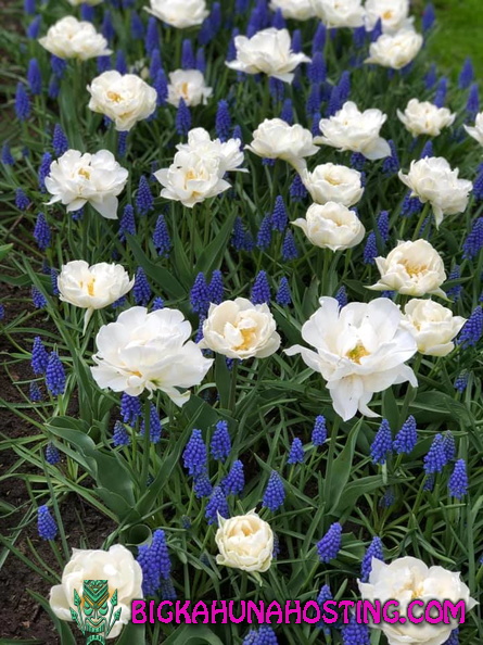 57170570 134195270978582 5807195465258631168 n