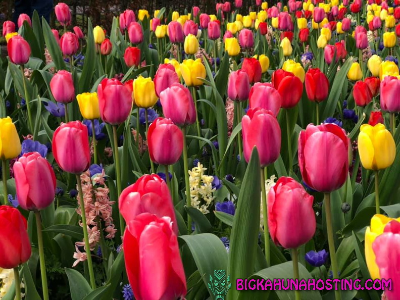 57183782 134193060978803 4331973498726514688 n