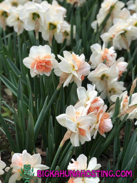 57213826 134196677645108 6378614252374065152 n