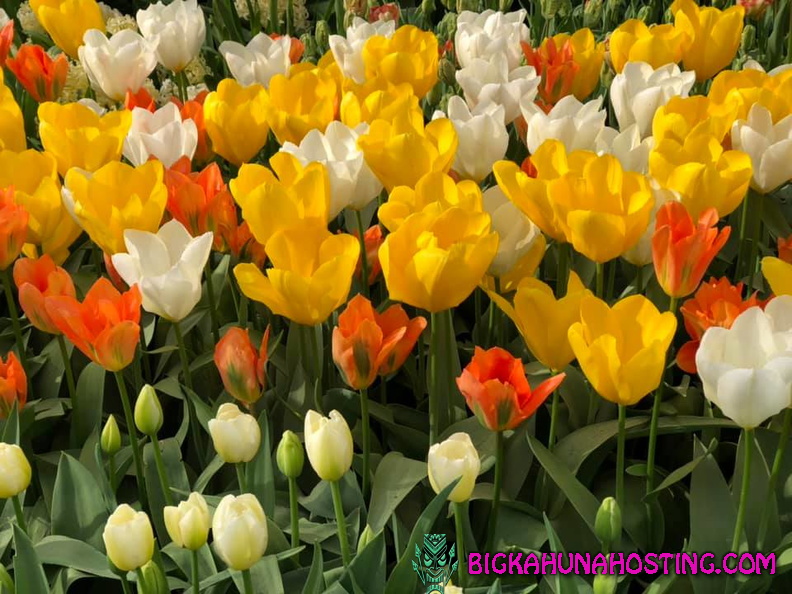 57246948 134193974312045 142749319756251136 n