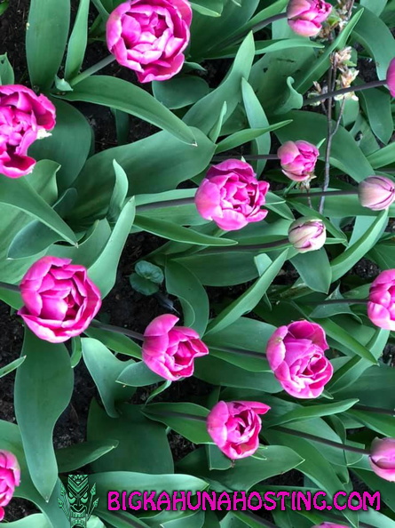 57348195 134194397645336 1361966002513903616 n