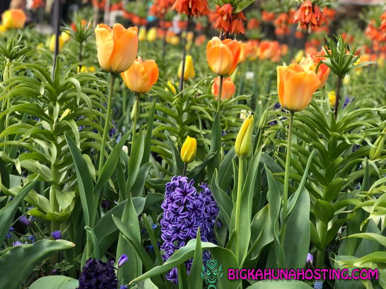 57395693 134193170978792 328736998699302912 n